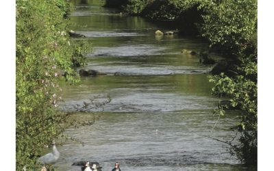 Un peu d’En Grez Vert avant l’automne